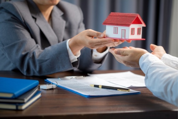 Website Development Services